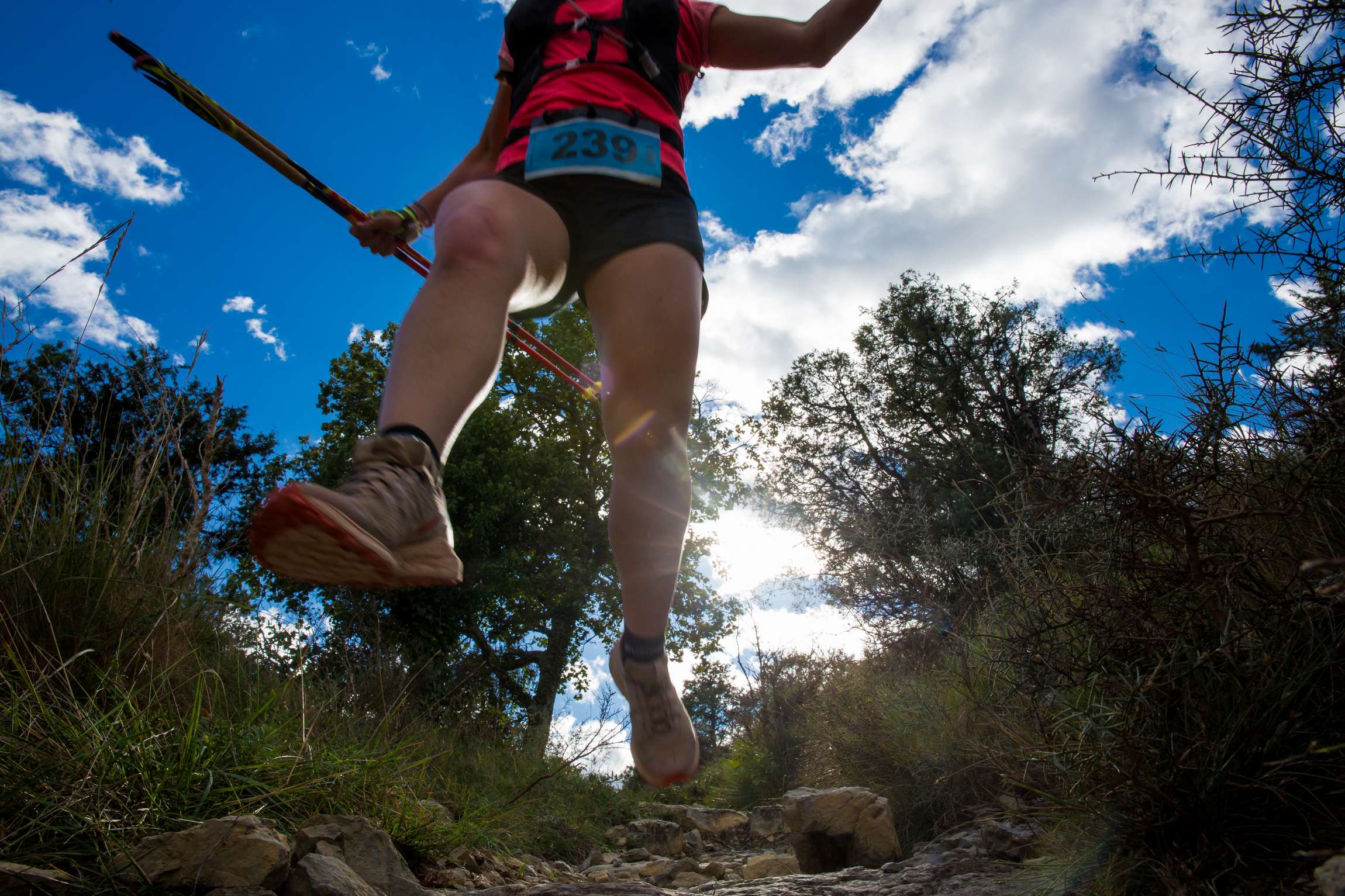 BD-KiWii-Photo-Running-56 3ème édition